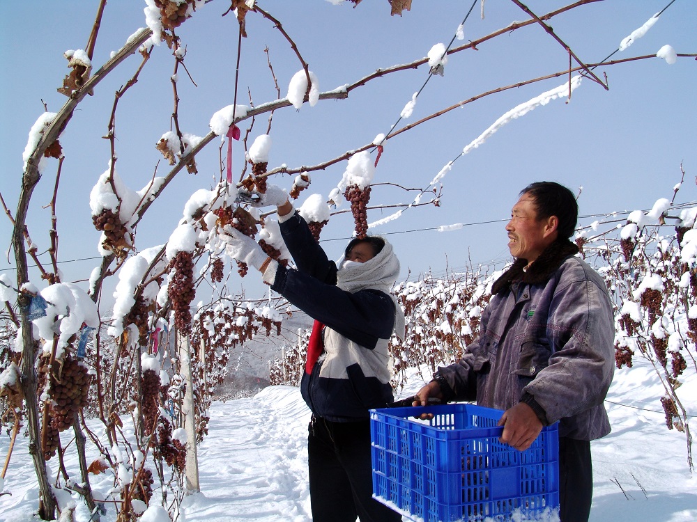 一张图卖出天价,一张图片卖出天价