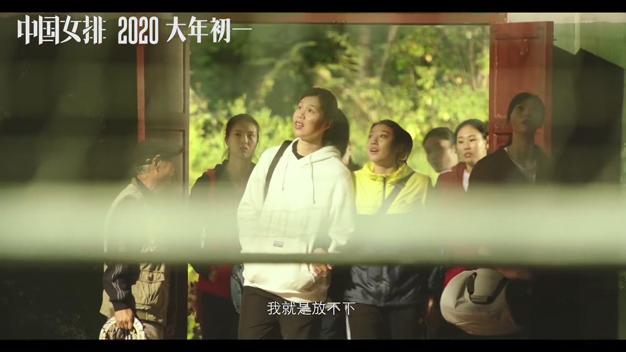 郎平的光辉史,郎平个人经历和成长史