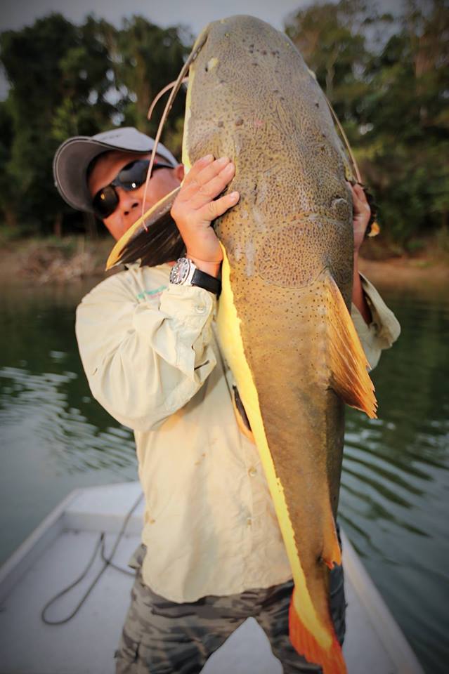 盘点钓鱼中钓出很奇葩鱼,盘点钓鱼钓出稀奇古怪的东西