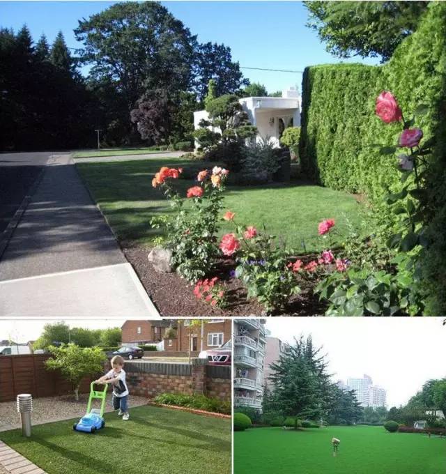 花园草坪如何打理,花园草地打理