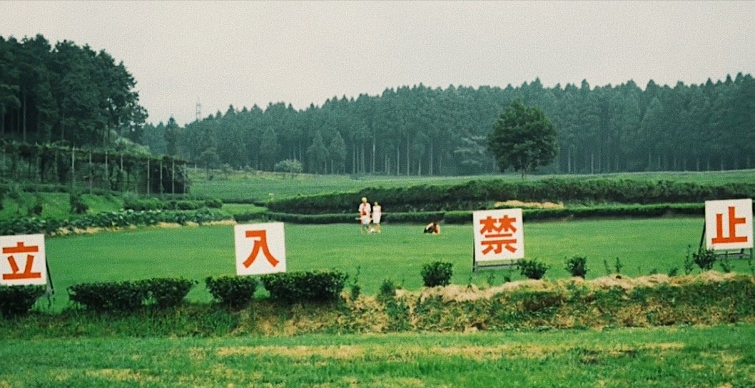 《西小河的夏天》歌曲剪辑版,西小河的夏天免费完整版