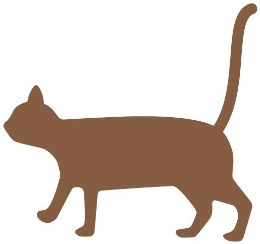 快来!华理小哥哥教你赢得科研竞赛的同时,做个有趣的人