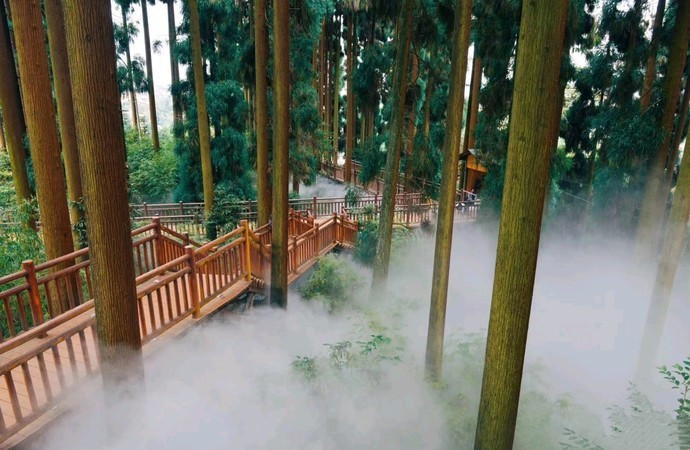 人间仙境峨眉山七里坪,峨眉山七里坪最好的地方