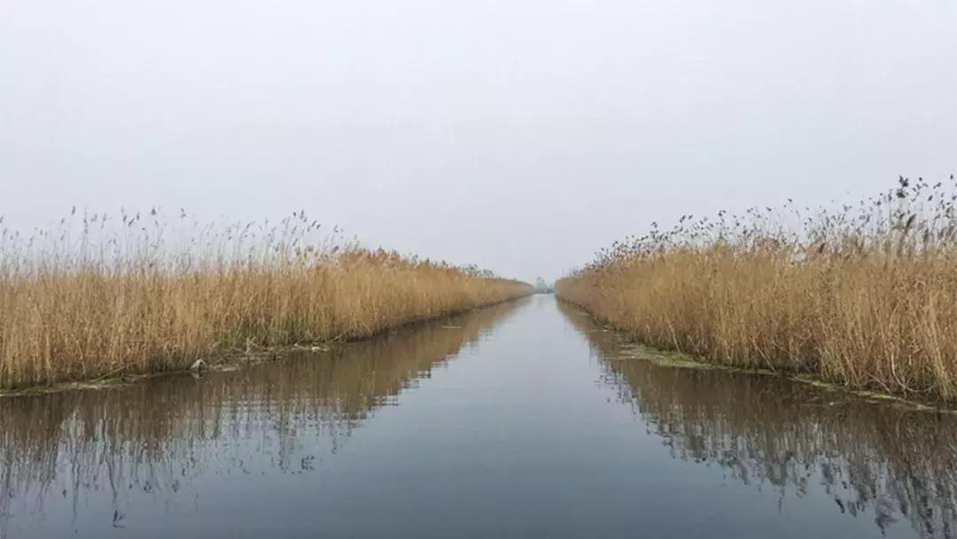 五一假期带着爸爸妈妈宝贝们钓虾,五一假期跟爸爸一起去田间劳动