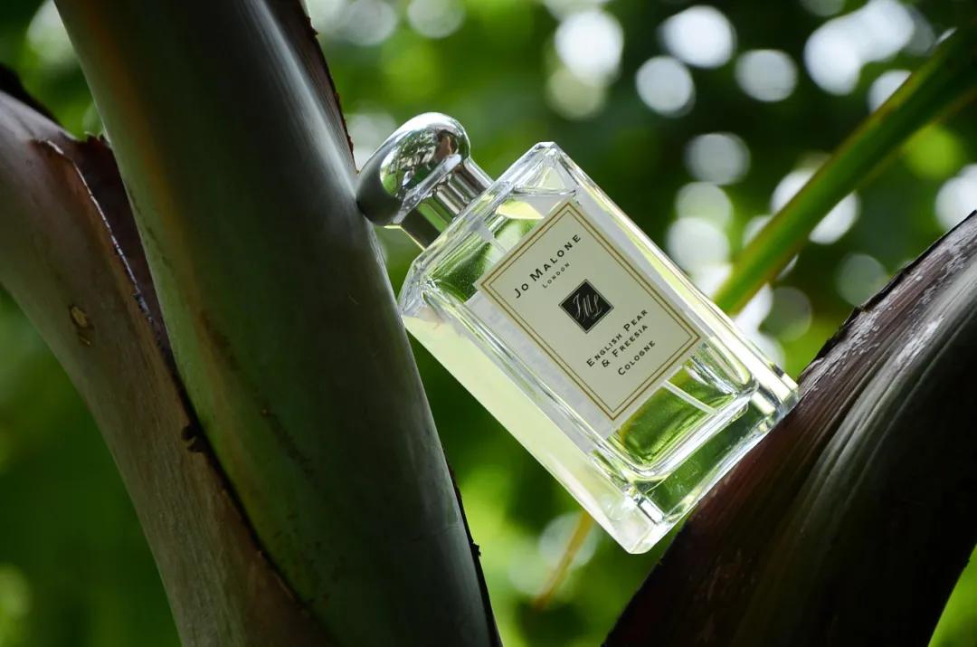 森林大地味道的清新淡香水推荐,清新一点的柚子柑橘类的香水