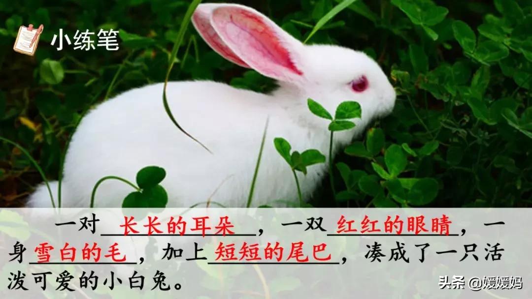 三年级下册第二课燕子的优美语句,燕子课文三年级下册同步练习答案