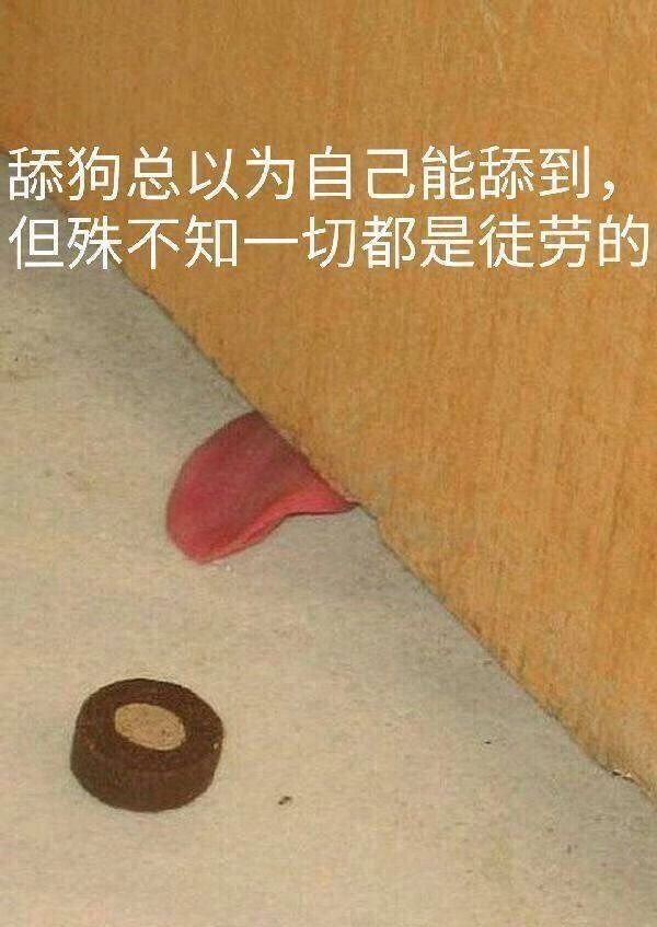 舔狗不回复聊天记录截图,舔狗聊天记录炸裂三观