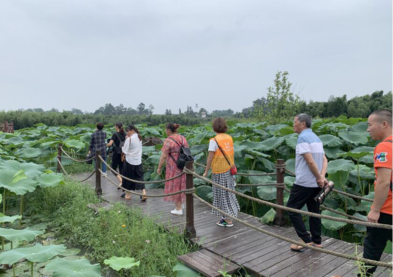 “和合共生.乐居弯湾”村民骨干游学参访，收获满满