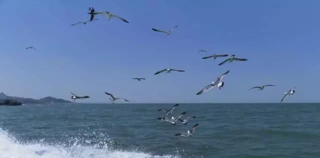 心理测试选一个最美日出,心理测试测你的下一生