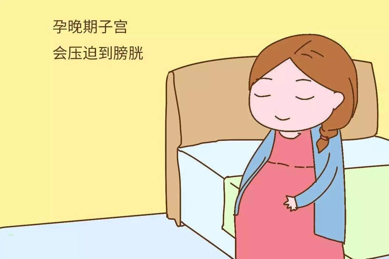 夜尿频繁但不多怎么调理最好,孕妈夜尿频繁怎么解决
