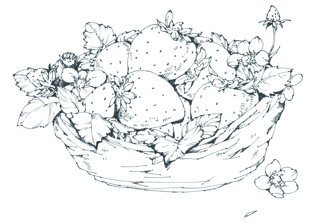 蓝莓味的章鱼小丸子,草莓章鱼小丸子口味