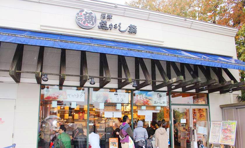 去富士山看樱花,日本富士山浪漫