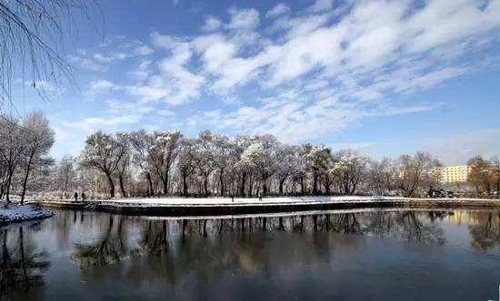 有人问你：哈尔滨哪个区（市）县最大哪个最小？都有啥？你知道不