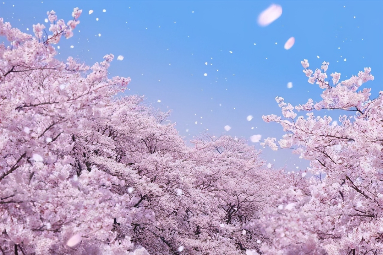 导游:到日本后,不要给半夜敲门的女孩开门,不听劝的等着后悔吧