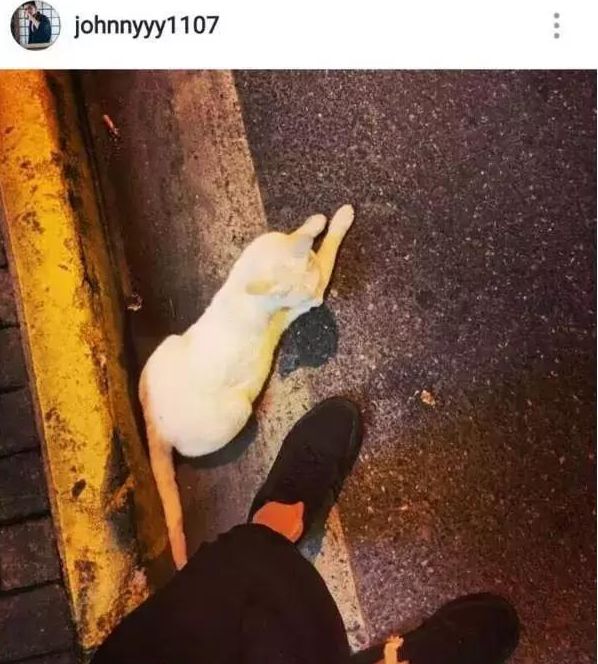 被绿又被打?还为爱自杀?至于吗