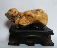 带你了解戈壁明珠石河子,带你了解甘肃