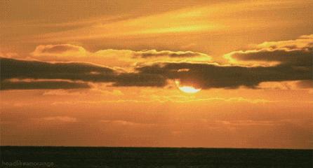 黑蒜的健康营养,黑蒜大家吃过吗营养价值更高吗