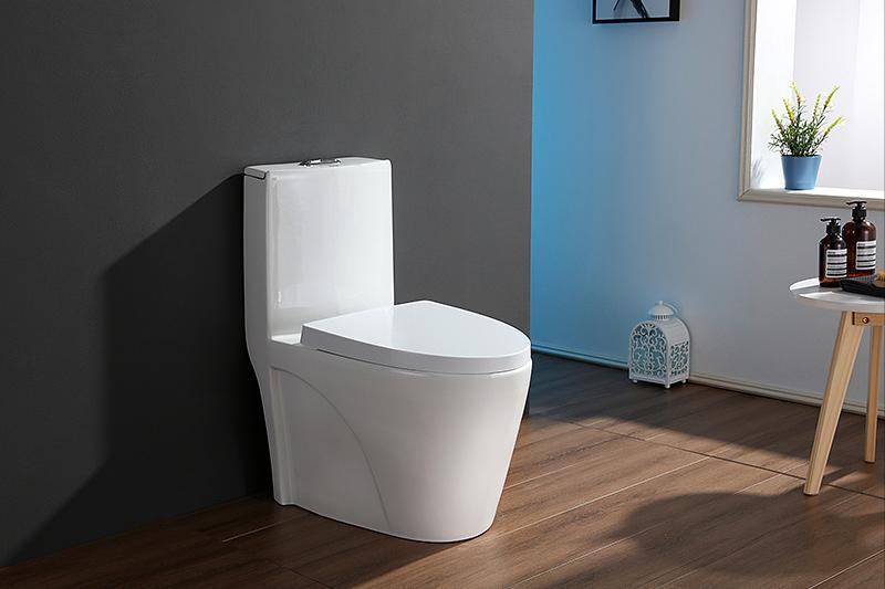 马桶好改成蹲坑吗,老款马桶怎么改成蹲坑