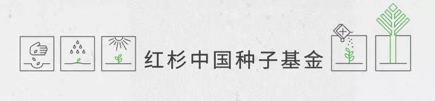 红杉合伙人RoelofBotha：相比一年前，我更看好今天的初创企业