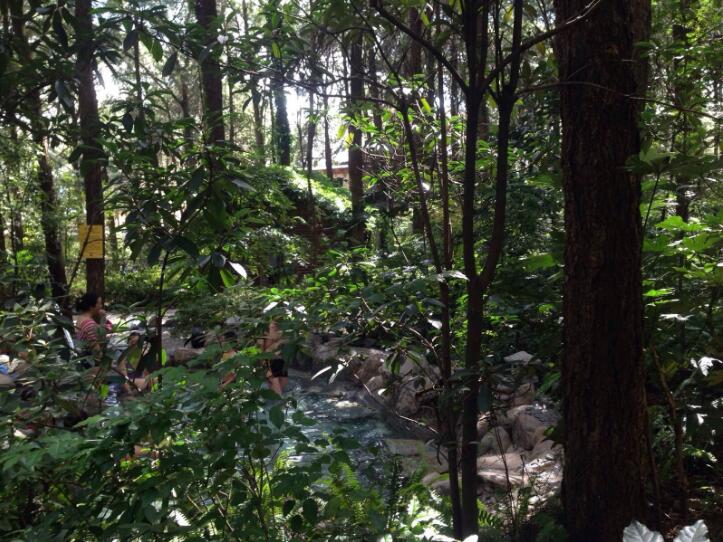 昆明碳酸泉温泉价格,安宁花神泉半山温泉