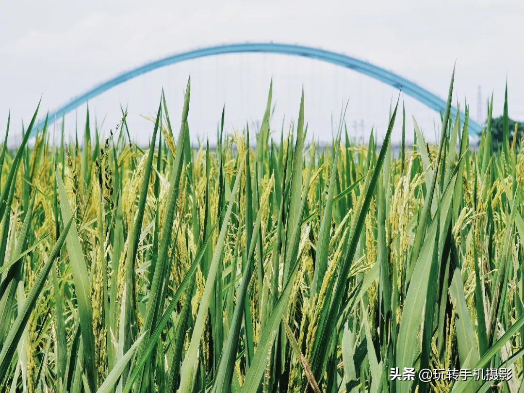 照片很平庸5招拍出层次感,照片怎样拍出氛围高级感