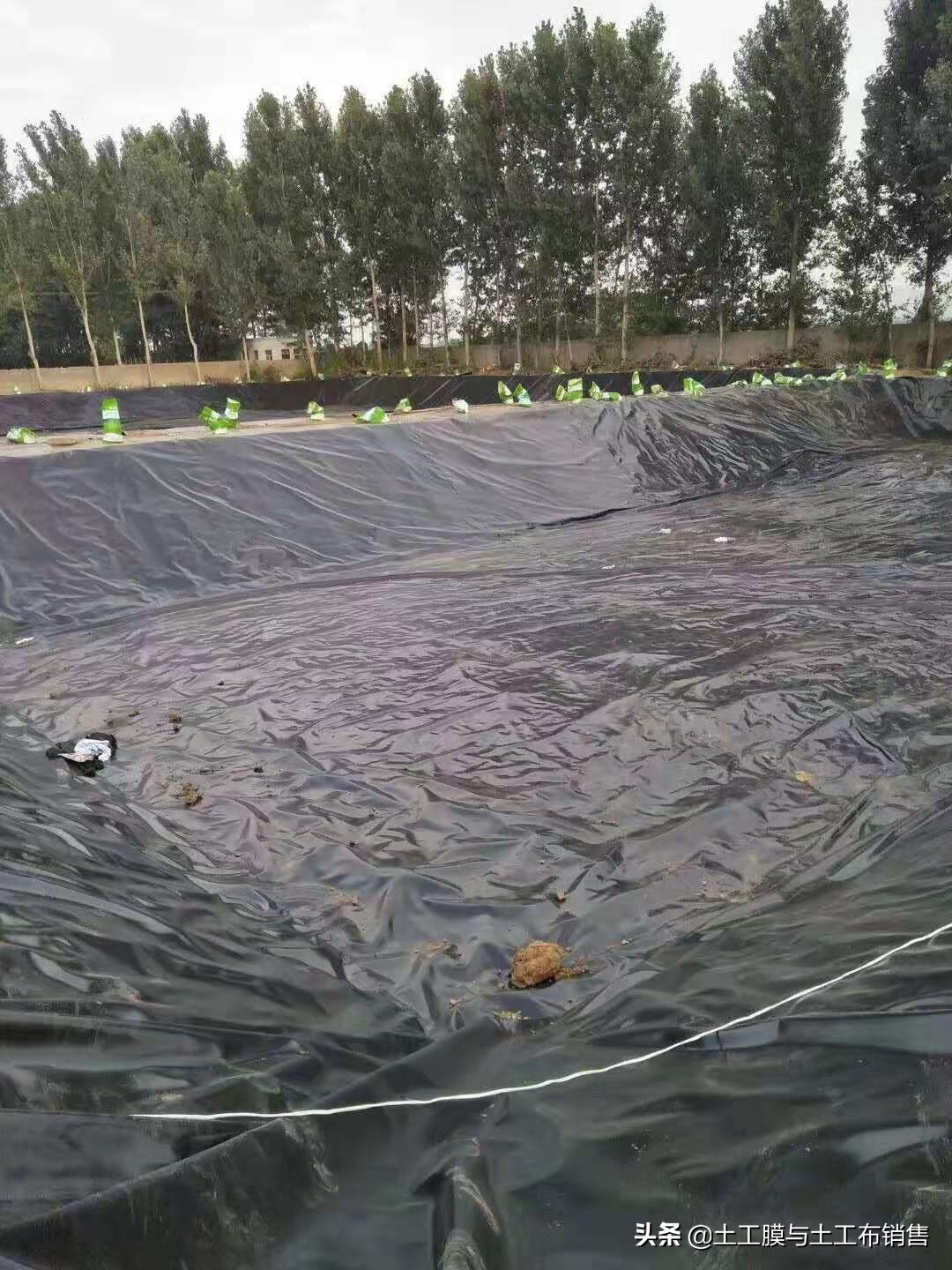 莲藕产业经济效益高的栽培模式-莲藕专用膜的投入与使用