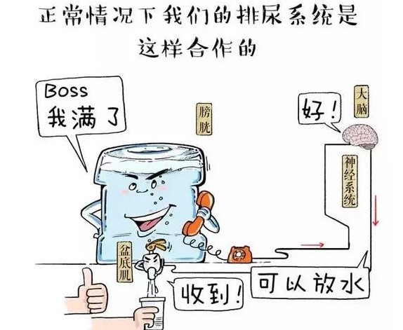 想尿尿不出又胀痛怎么解决,想尿尿不出还有点刺痛