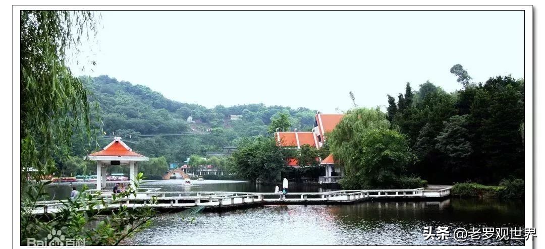 请回答，自贡90后！