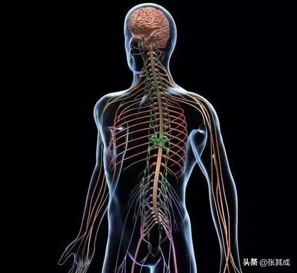 钱学森中医言论,钱学森谈中医现代化