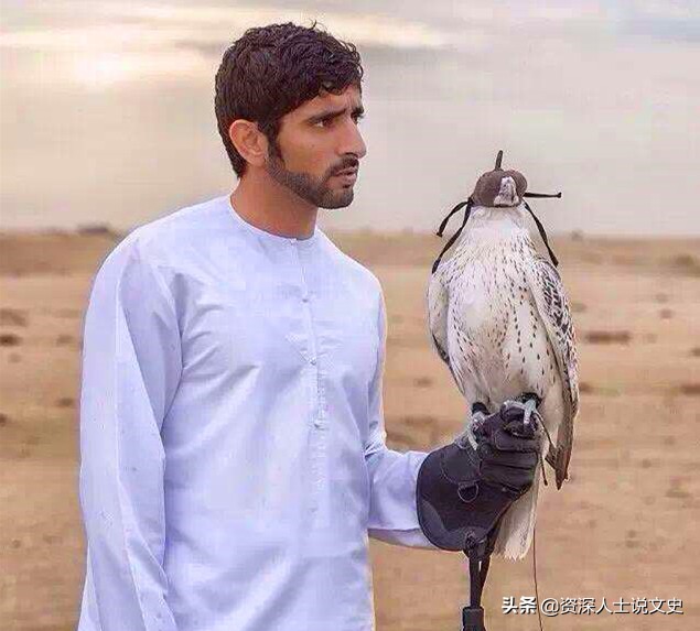 阿联酋为何这么强,阿联酋依靠中国发展