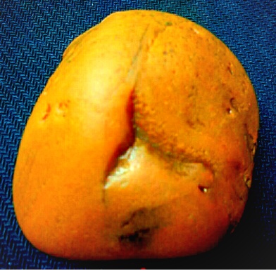 雅石图鉴真品欣赏,中国雅石图鉴大全