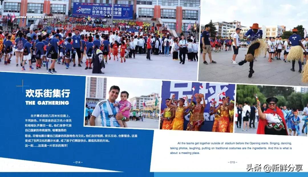 哥德杯世界青少年足球赛,国际青少年足球大赛在哪里举办