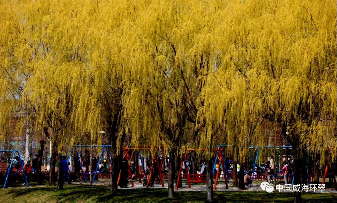 走进春天的环翠公园,环翠景色