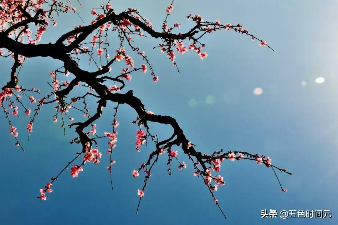 四书五经修身养性齐家治国平天下,四书五经警句