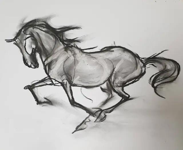 速写简笔画马,画速写不需要临摹