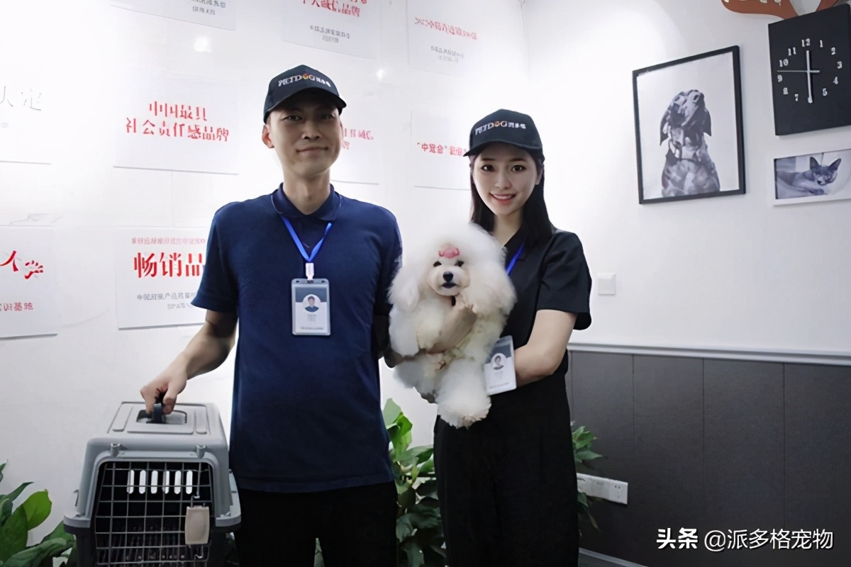 派多格宠物城,派多格宠物连锁广钢新城店