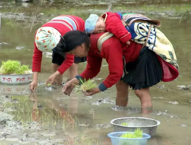 30岁农村女人一年零花钱,山村农妇一夜暴富
