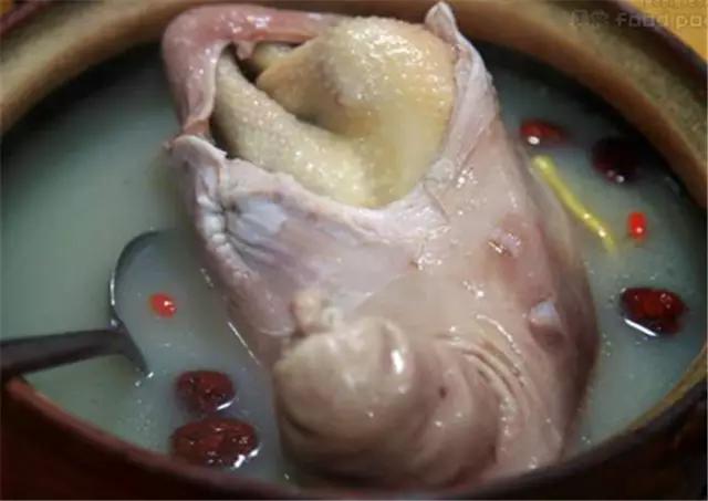 12个好吃的美食,十二种美容食物