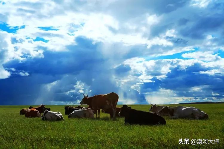 森林草原自驾游,森林亲子旅游攻略图片大全
