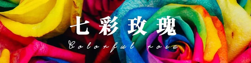 一篇文章带你认识三亚40种花,鲜花图鉴一次性认识30种玫瑰花