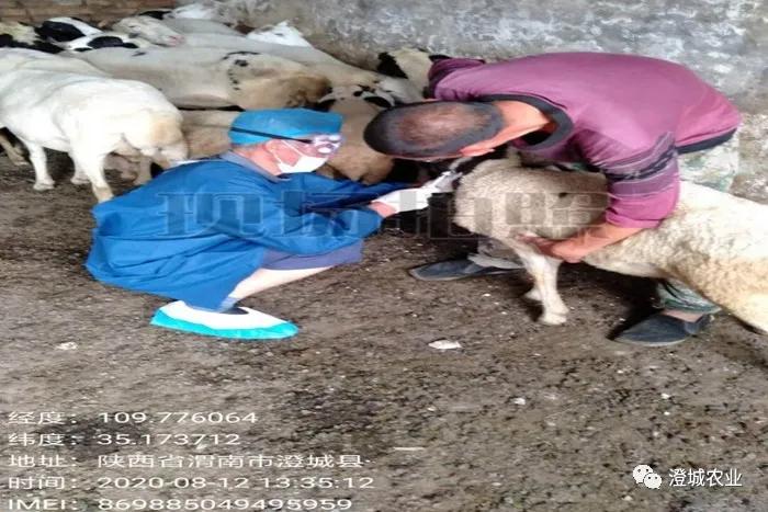 兰陵县疫情防控工作,布病防控宣传