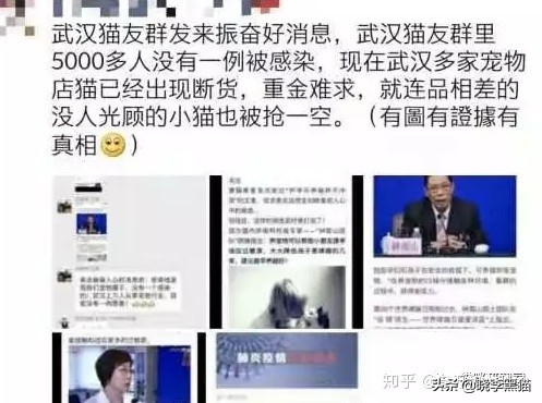 养猫家庭新冠对策全知道，别再听信谣言，也别再想当然了