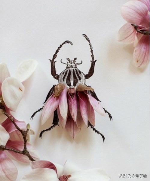 简短签名有深意有内涵,经典签名一句话哲理