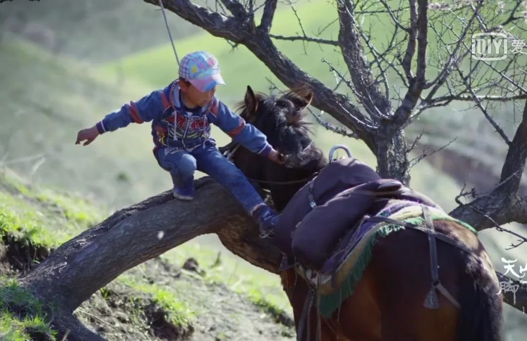 天山脚下纪录片,天山脚下纪录片完整版