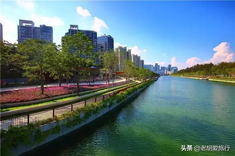 深圳不可错过的游玩地方,2022早春深圳踏青好去处