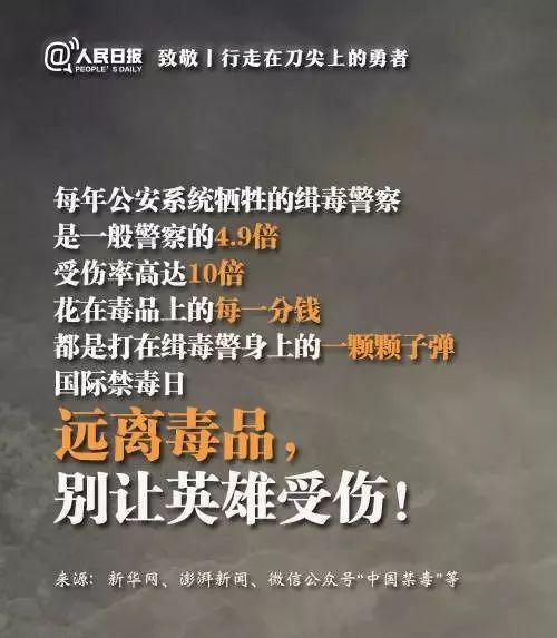 缉毒警察和吸毒明星,吸毒明星缉毒警