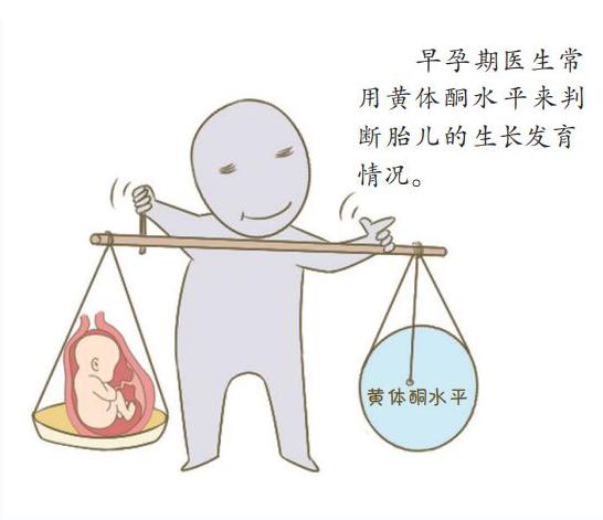 孕酮和hcg值是多少为正常,怀孕36天孕酮16hcg700多需要保胎吗