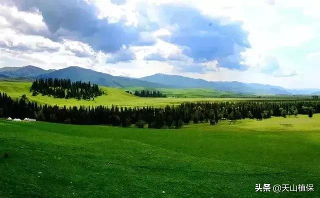 大美新疆百里画廊,北疆千里画廊打卡点