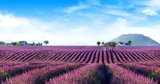 沈阳周边游4天短途旅游,沈阳周边省份游2-3天短途旅游