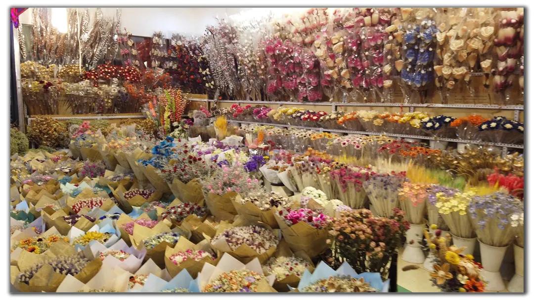 昆明周边小众打卡村落,昆明最值得去的六大村落